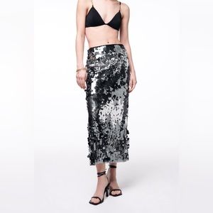 NWT zara special edition sequin skirt 9077/102/836